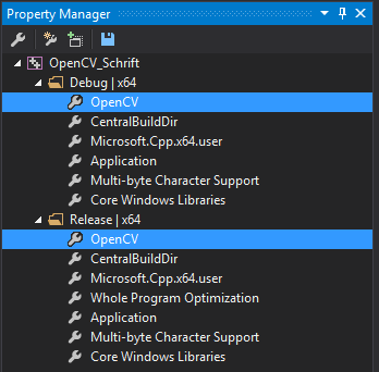 Project Manager in Visual Studio